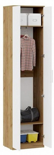 Шкаф платяной Хилтон Исп. 2 в Можге - mozhga.mebel24.online | фото 3