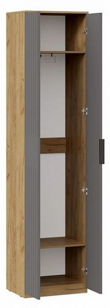 Шкаф платяной Хилтон Исп. 2 в Можге - mozhga.mebel24.online | фото 2