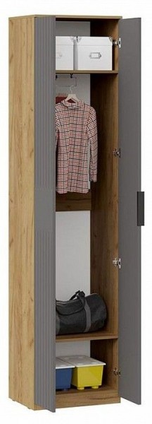 Шкаф платяной Хилтон Исп. 2 в Можге - mozhga.mebel24.online | фото 3
