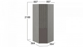 Шкаф платяной Либерти СМ-297.07.033 в Можге - mozhga.mebel24.online | фото 3