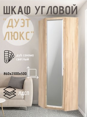 Шкаф угловой Дуэт Люкс с зеркалом в Можге - mozhga.mebel24.online | фото