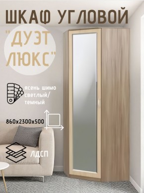 Шкаф угловой Дуэт Люкс с зеркалом в Можге - mozhga.mebel24.online | фото 3