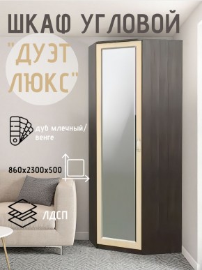 Шкаф угловой Дуэт Люкс с зеркалом в Можге - mozhga.mebel24.online | фото 5