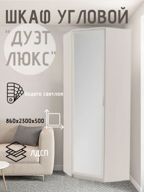 Шкаф угловой Дуэт Люкс с зеркалом в Можге - mozhga.mebel24.online | фото 6
