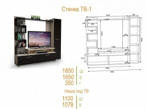 Стенка для гостиной ТВ-1 в Можге - mozhga.mebel24.online | фото 2