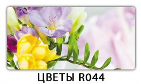 Стол раздвижной Бриз лайм R156 Орхидея R041 в Можге - mozhga.mebel24.online | фото 16