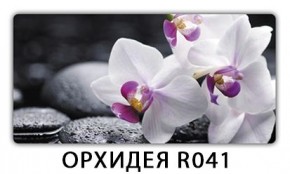 Стол раздвижной Бриз орхидея R041 Доска D110 в Можге - mozhga.mebel24.online | фото 4