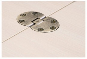 Стол-трансформер Престиж в Можге - mozhga.mebel24.online | фото 10
