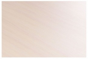 Стол-трансформер Престиж в Можге - mozhga.mebel24.online | фото 8