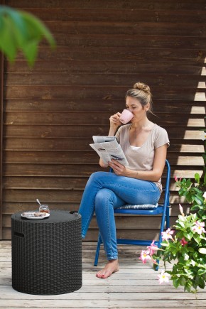 Столик-холодильник Кул-Стул (Cool stool) коричневый в Можге - mozhga.mebel24.online | фото 2