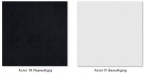 Стул Роджер Плюс (4 шт.) арт. С102-1 в Можге - mozhga.mebel24.online | фото 5