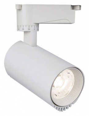 Светильник на штанге Escada 20031 20031TRA/01LED SWH в Можге - mozhga.mebel24.online | фото