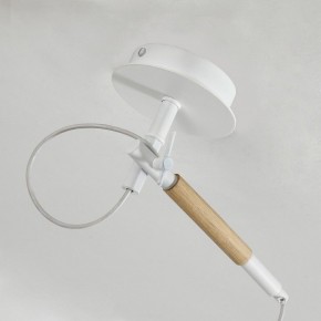 Светильник на штанге F-promo Eureka 3005-1P в Можге - mozhga.mebel24.online | фото 8