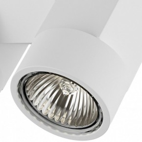 Светильник на штанге Lightstar Illumo X2 051036 в Можге - mozhga.mebel24.online | фото 2