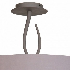 Светильник на штанге Mantra Lua 3690 в Можге - mozhga.mebel24.online | фото
