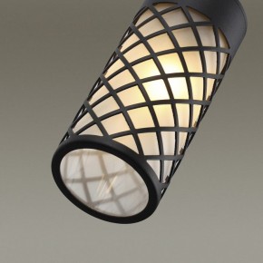 Светильник на штанге Odeon Light Dunes 4834/1W в Можге - mozhga.mebel24.online | фото 5