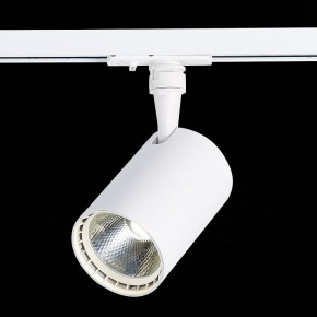 Светильник на штанге ST-Luce Cami ST351.536.20.36 в Можге - mozhga.mebel24.online | фото 6