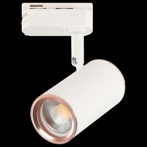 Светильник на штанге ST-Luce Cromi ST301.526.01 в Можге - mozhga.mebel24.online | фото 4