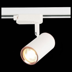 Светильник на штанге ST-Luce Cromi ST301.526.01 в Можге - mozhga.mebel24.online | фото 6
