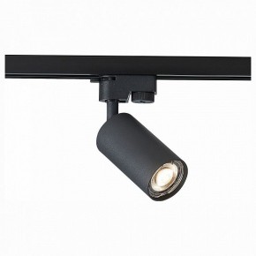 Светильник на штанге ST-Luce Solt ST300.406.01 в Можге - mozhga.mebel24.online | фото 1