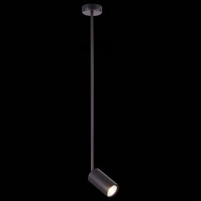 Светильник на штанге ST-Luce Sormano SL1206.403.01 в Можге - mozhga.mebel24.online | фото 3
