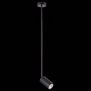 Светильник на штанге ST-Luce Sormano SL1206.403.01 в Можге - mozhga.mebel24.online | фото 4
