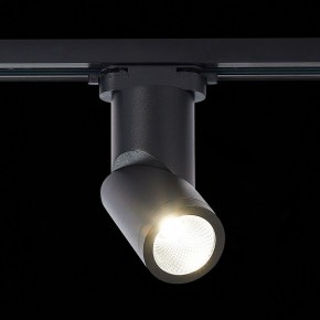 Светильник на штанге ST-Luce ST650 ST650.436.10 в Можге - mozhga.mebel24.online | фото 3