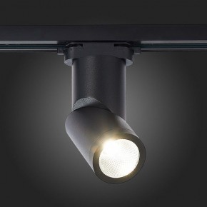 Светильник на штанге ST-Luce ST650 ST650.436.10 в Можге - mozhga.mebel24.online | фото 4