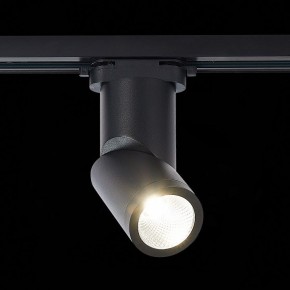 Светильник на штанге ST-Luce ST650 ST650.446.10 в Можге - mozhga.mebel24.online | фото 2