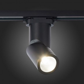 Светильник на штанге ST-Luce ST650 ST650.446.10 в Можге - mozhga.mebel24.online | фото 4