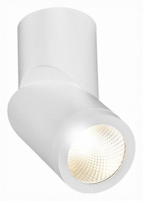 Светильник на штанге ST-Luce ST650 ST650.532.10 в Можге - mozhga.mebel24.online | фото 3
