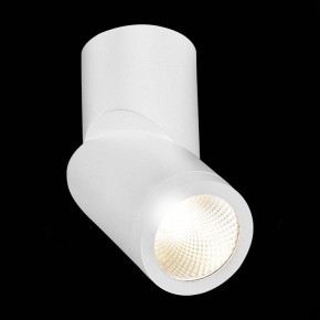 Светильник на штанге ST-Luce ST650 ST650.532.10 в Можге - mozhga.mebel24.online | фото 5