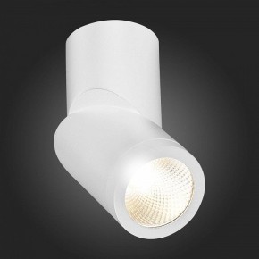 Светильник на штанге ST-Luce ST650 ST650.532.10 в Можге - mozhga.mebel24.online | фото 6