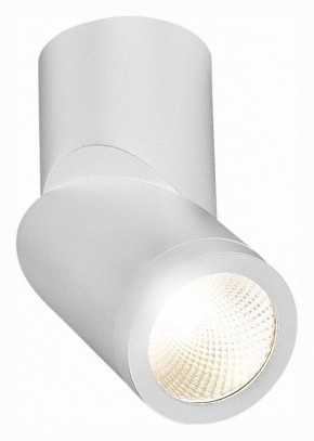 Светильник на штанге ST-Luce ST650 ST650.542.10 в Можге - mozhga.mebel24.online | фото 3