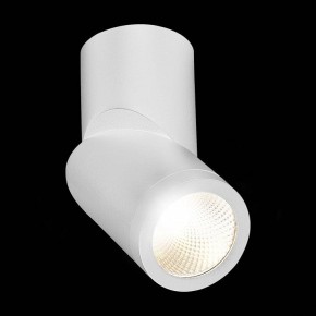 Светильник на штанге ST-Luce ST650 ST650.542.10 в Можге - mozhga.mebel24.online | фото 5