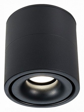 Светильник на штанге ST-Luce ST652 ST652.442.12 в Можге - mozhga.mebel24.online | фото 2