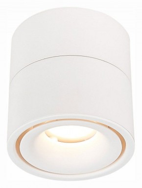 Светильник на штанге ST-Luce ST652 ST652.542.12 в Можге - mozhga.mebel24.online | фото 2