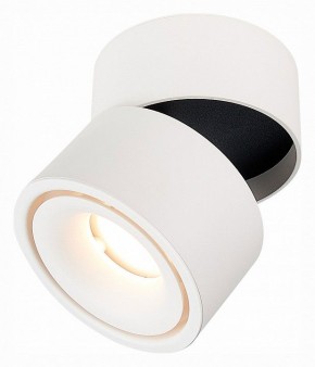 Светильник на штанге ST-Luce ST652 ST652.542.12 в Можге - mozhga.mebel24.online | фото 3