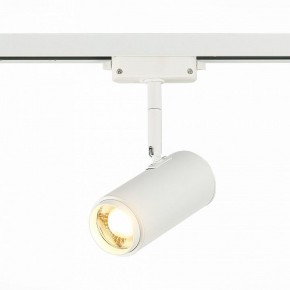 Светильник на штанге ST-Luce Zoom ST600.536.12 в Можге - mozhga.mebel24.online | фото 2