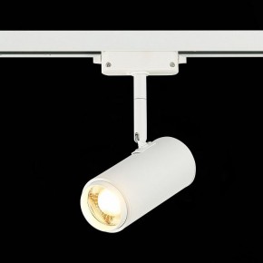 Светильник на штанге ST-Luce Zoom ST600.536.12 в Можге - mozhga.mebel24.online | фото 4