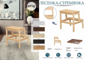 Табурет Стремянка в Можге - mozhga.mebel24.online | фото 6