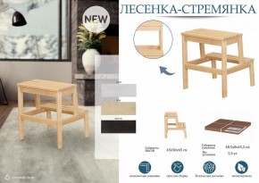 Табурет Стремянка в Можге - mozhga.mebel24.online | фото 4