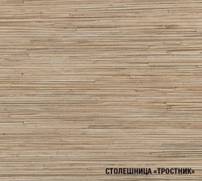 ТОМИЛЛА Кухонный гарнитур Стандарт 4 (1600 мм ) в Можге - mozhga.mebel24.online | фото 6