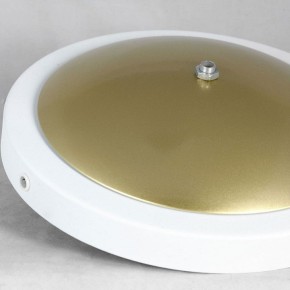 Торшер Lussole LSP-062 LSP-0625 в Можге - mozhga.mebel24.online | фото 2