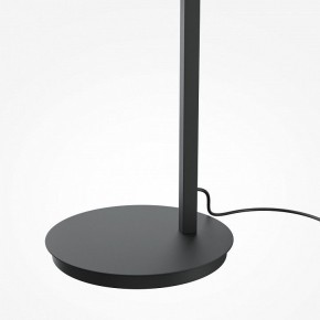 Торшер Maytoni Emphaty MOD363FL-L14B3K в Можге - mozhga.mebel24.online | фото 5