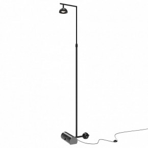 Торшер Maytoni Pikant MOD372FL-L10B3K в Можге - mozhga.mebel24.online | фото