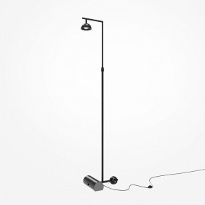 Торшер Maytoni Pikant MOD372FL-L10B3K в Можге - mozhga.mebel24.online | фото 2