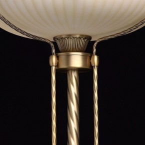 Торшер MW-Light Афродита 1 317040901 в Можге - mozhga.mebel24.online | фото 6