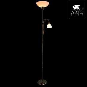 Торшер с подсветкой Arte Lamp Duetto A9569PN-2AB в Можге - mozhga.mebel24.online | фото 3