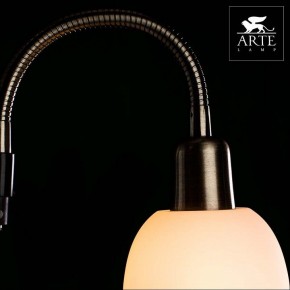Торшер с подсветкой Arte Lamp Duetto A9569PN-2AB в Можге - mozhga.mebel24.online | фото 4